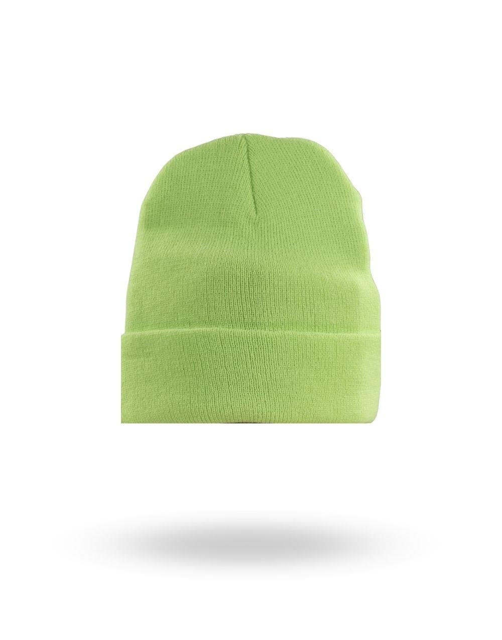 Basic Folded Everyday Beanie Pistachio Green